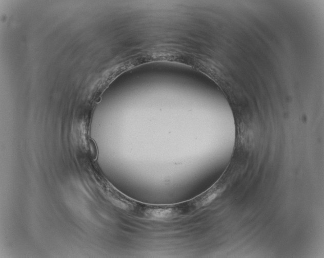 X0000057100575200509231719