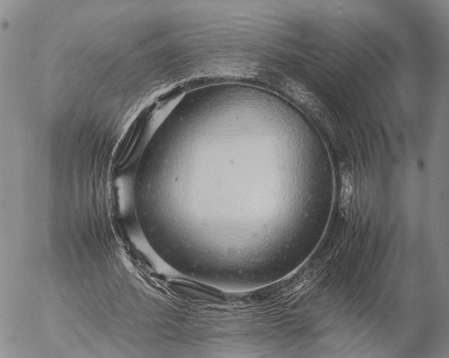 X0000057100580200509231718