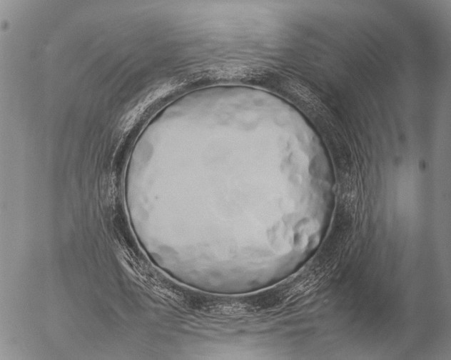 X0000057100583200509231718