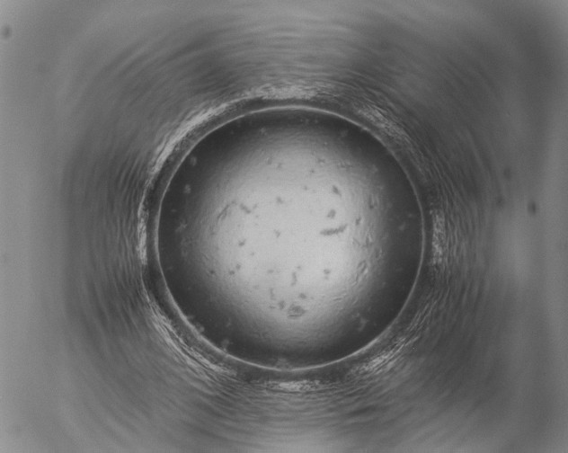 X0000057100584200509231718