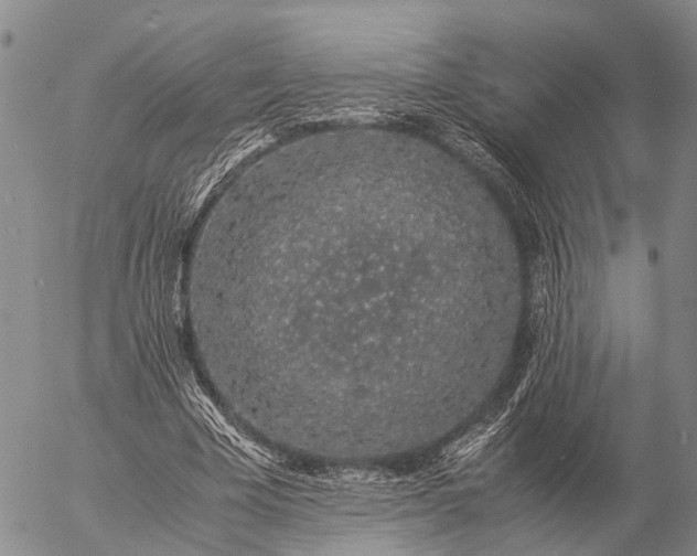 X0000057100585200509231718