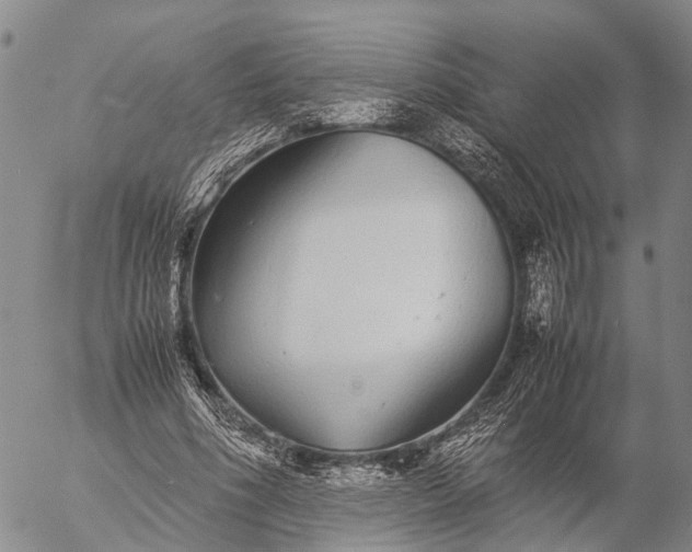 X0000057100586200509231718