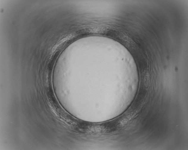 X0000057100587200509231718