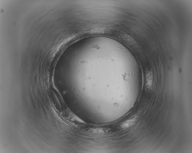 X0000057100588200509231718