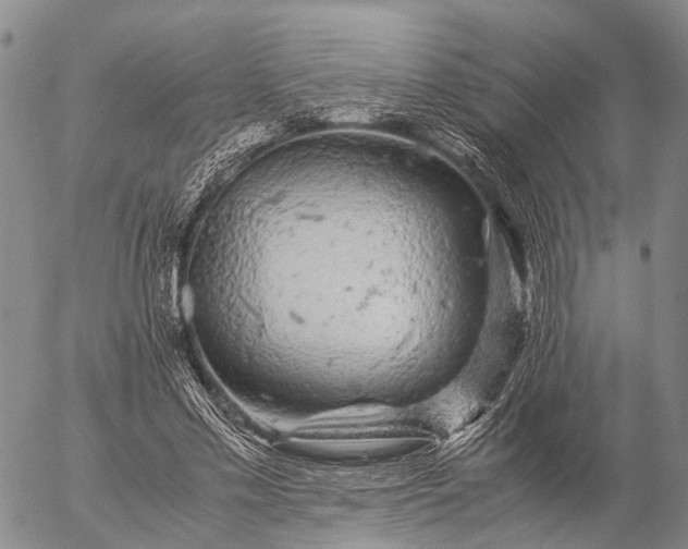 X0000057100589200509231718