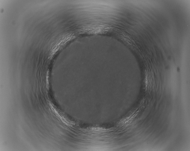 X0000057100590200509231718