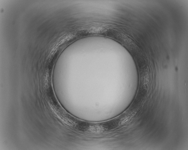 X0000057100591200509231718