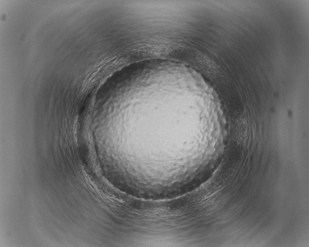 X0000057100594200509231718