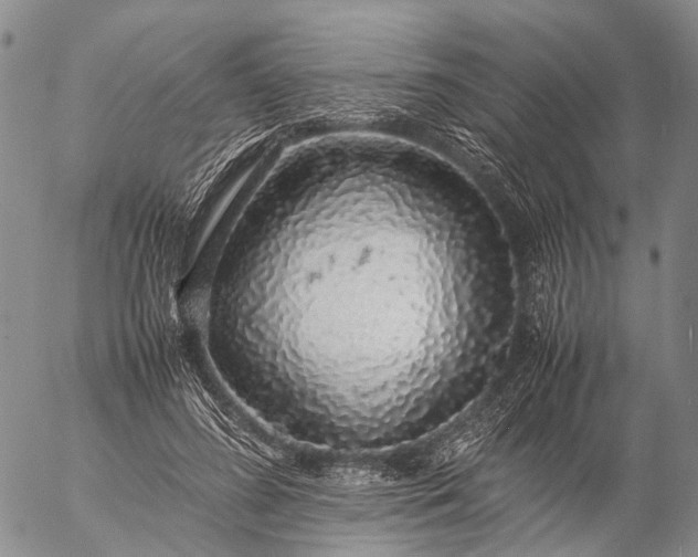 X0000057100596200509231718