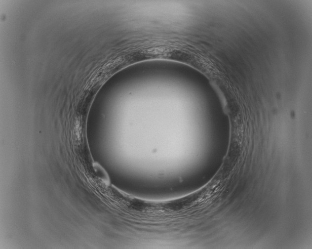 X0000057100597200509231718