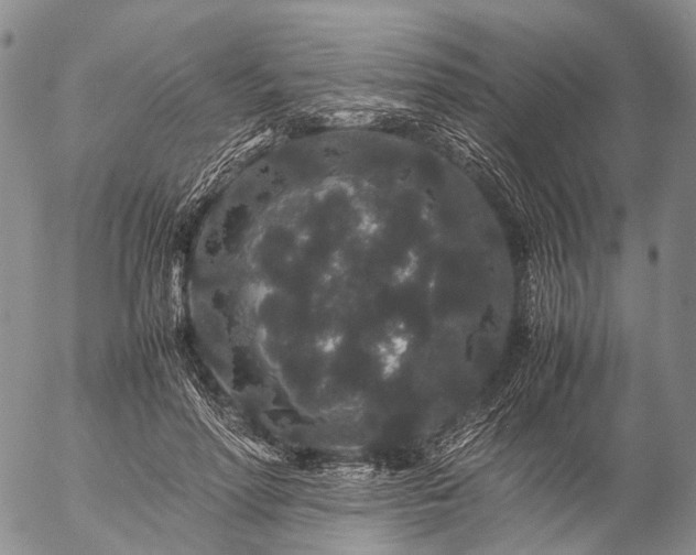 X0000057100598200509231718