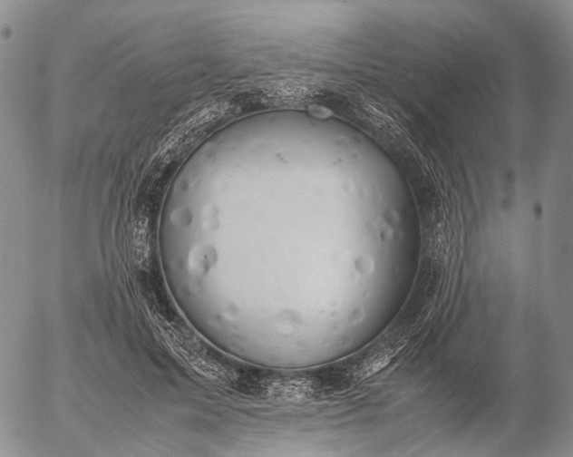 X0000057100599200509231718