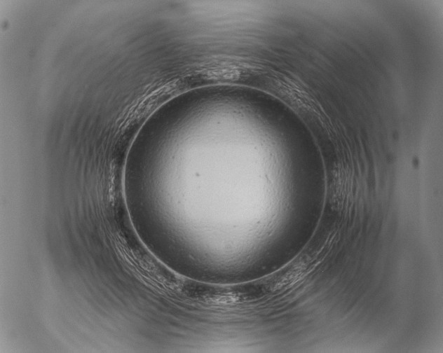 X0000057100600200509231718