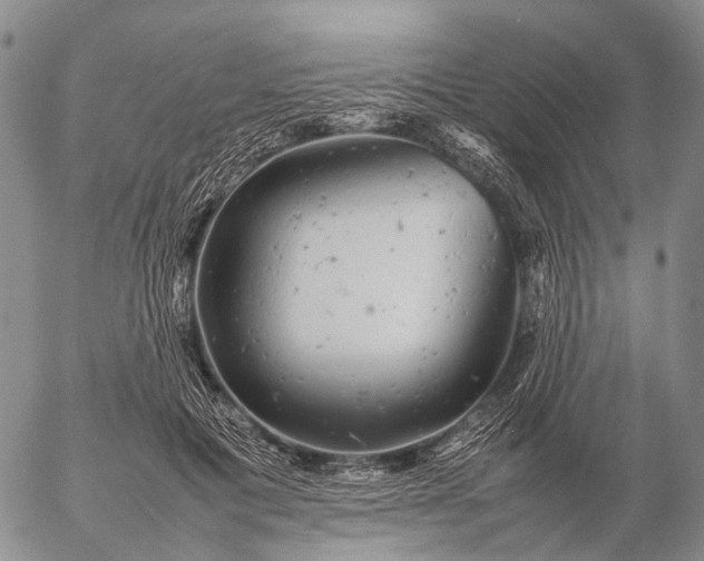 X0000057100601200509231718