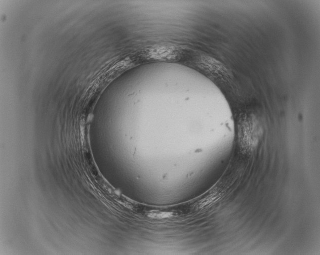 X0000057100602200509231718