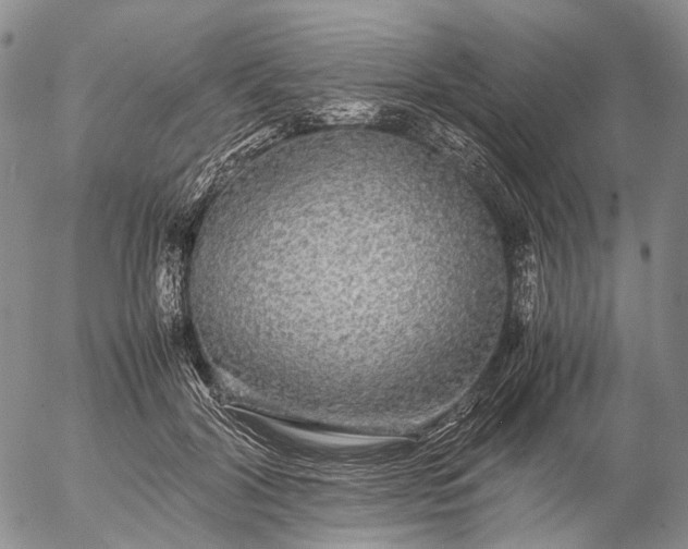 X0000057100604200509231718