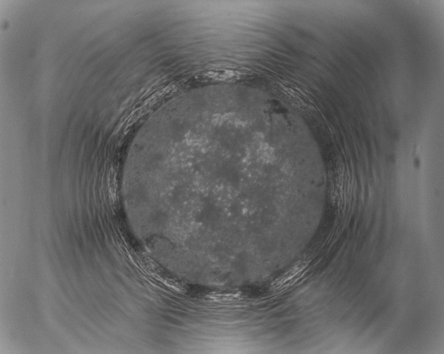 X0000057100606200509231718