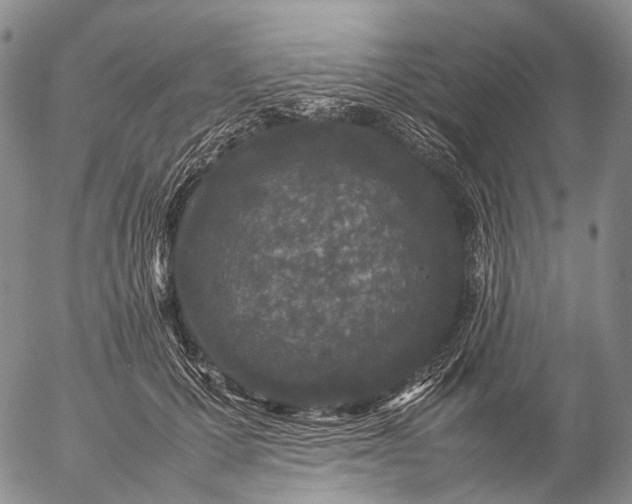 X0000057100607200509231718