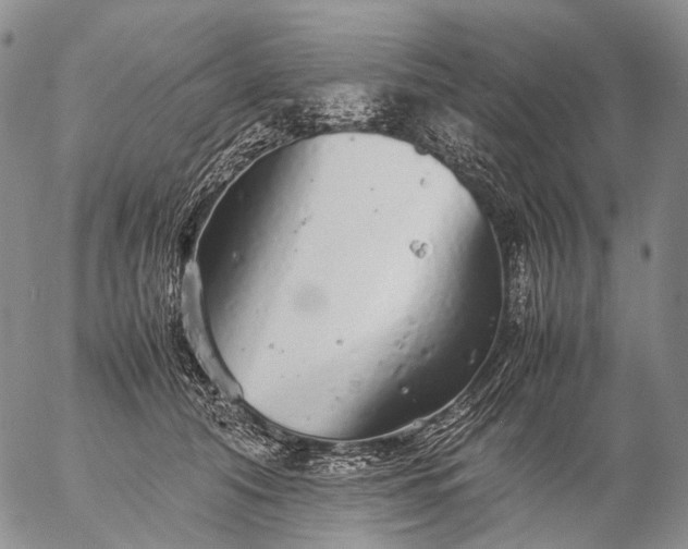 X0000057100608200509231718