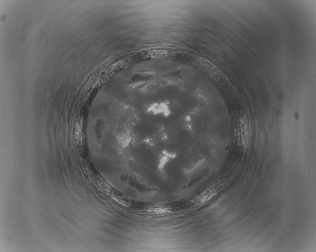 X0000057100610200509231717