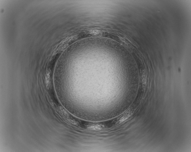 X0000057100611200509231717