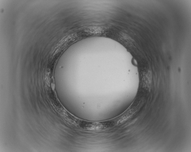 X0000057100612200509231717