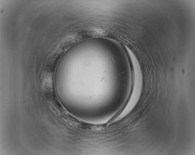 X0000057100613200509231717