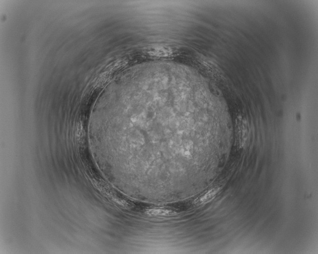 X0000057100614200509231717