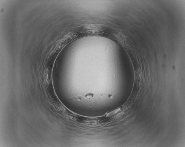 X0000057100615200509231717