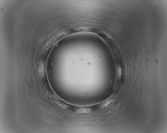 X0000057100617200509231717