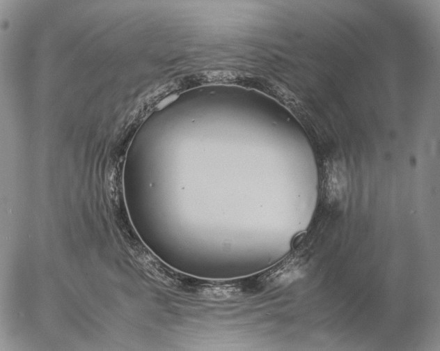 X0000057100619200509231717