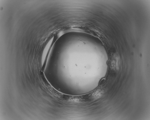 X0000057100620200509231717