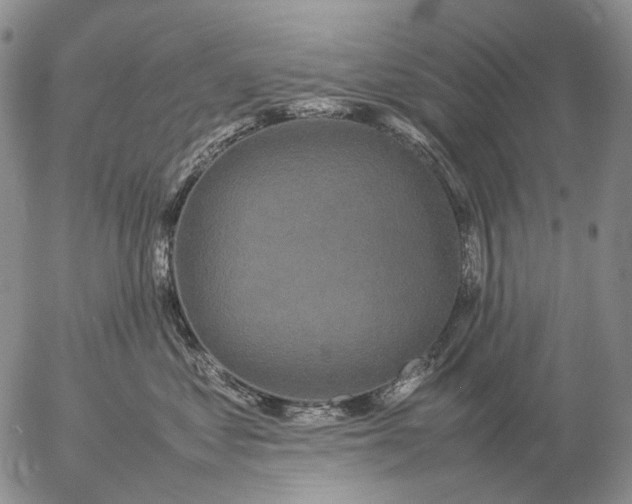 X0000057100621200509231717