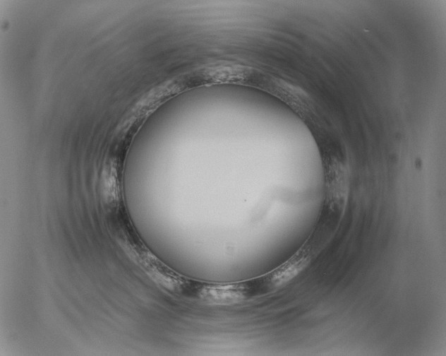 X0000057100622200509231717