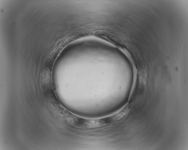 X0000057100623200509231717