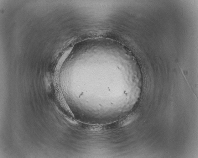 X0000057100624200509231717