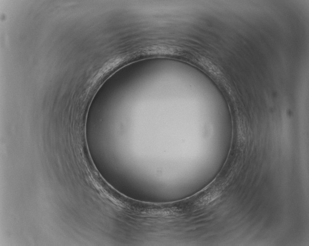 X0000057100625200509231716