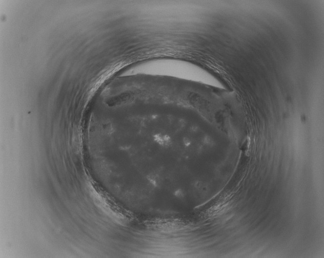 X0000057100626200509231716