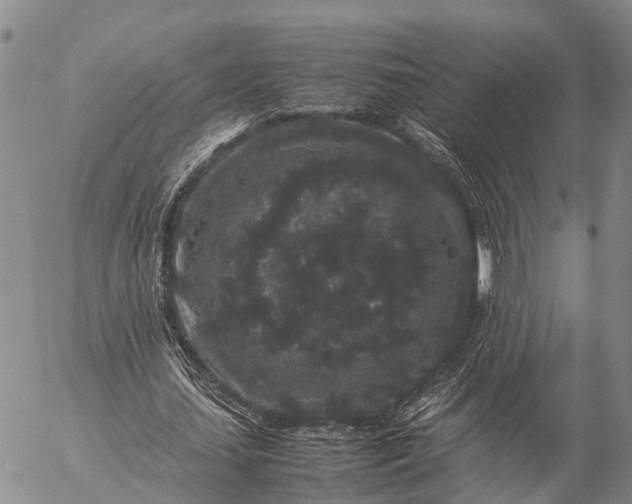 X0000057100627200509231716