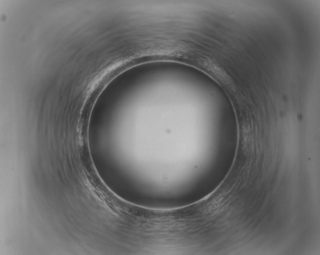 X0000057100628200509231717