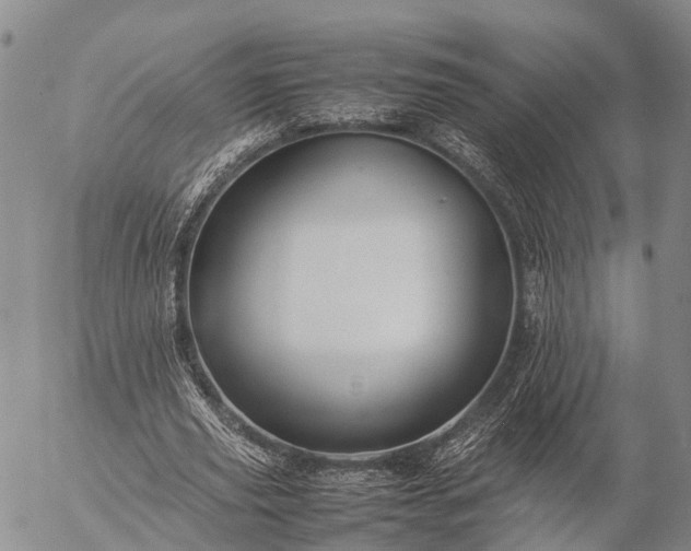 X0000057100629200509231717