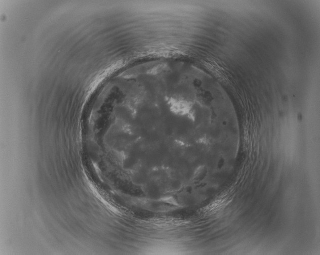 X0000057100630200509231717