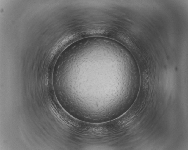 X0000057100631200509231717