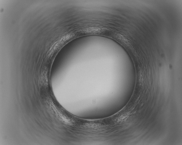 X0000057100633200509231717