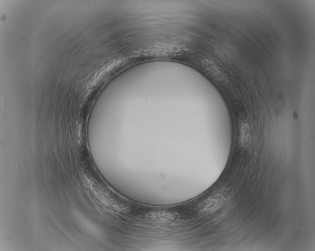 X0000057100636200509231717