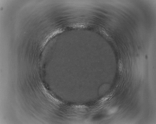 X0000057100637200509231717