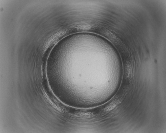 X0000057100638200509231717