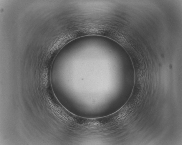 X0000057100642200509231717