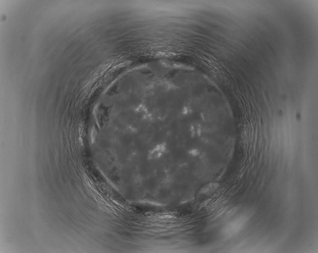 X0000057100643200509231717