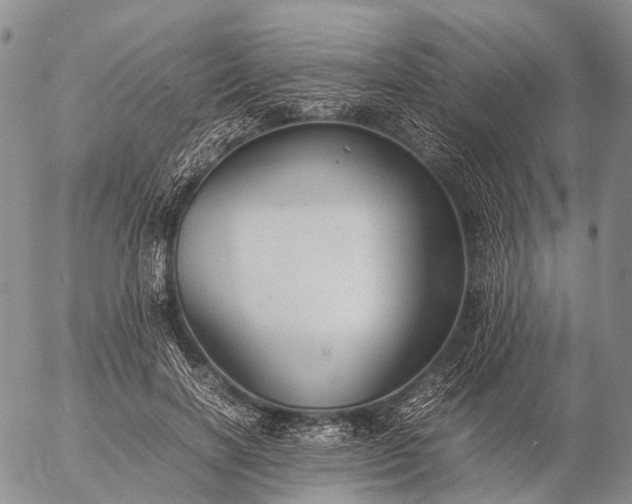 X0000057100646200509231717